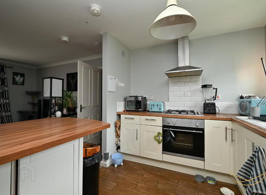 11b Greenview Place, Antrim, BT41 4EP
