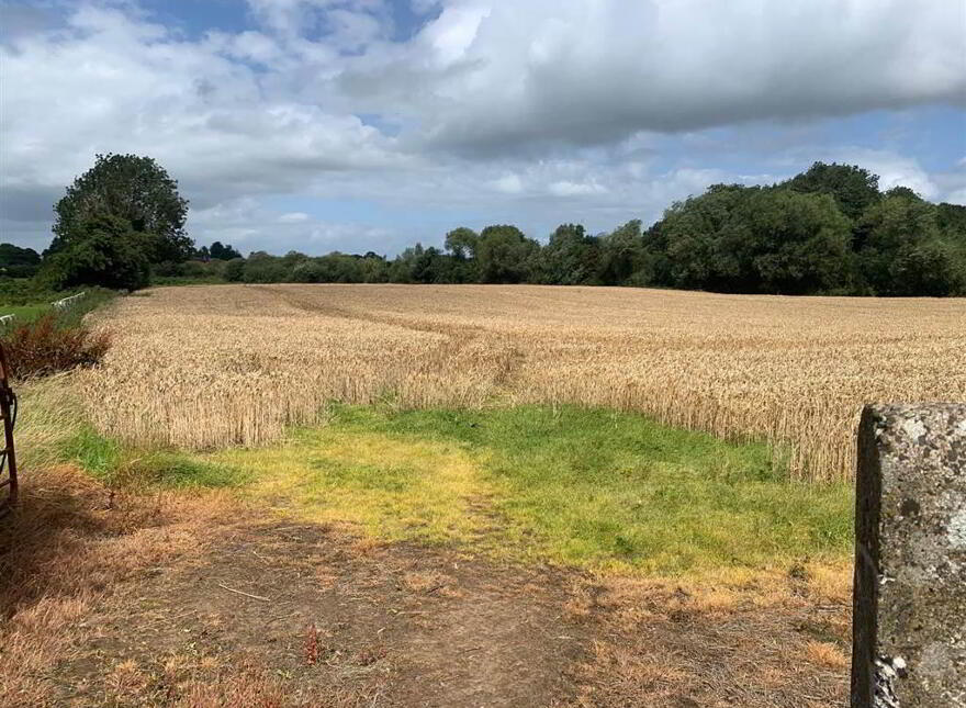 Approx 23 Acres Of Land, Along With Mobile Home, & Two Large Outbuildi...Lisburn