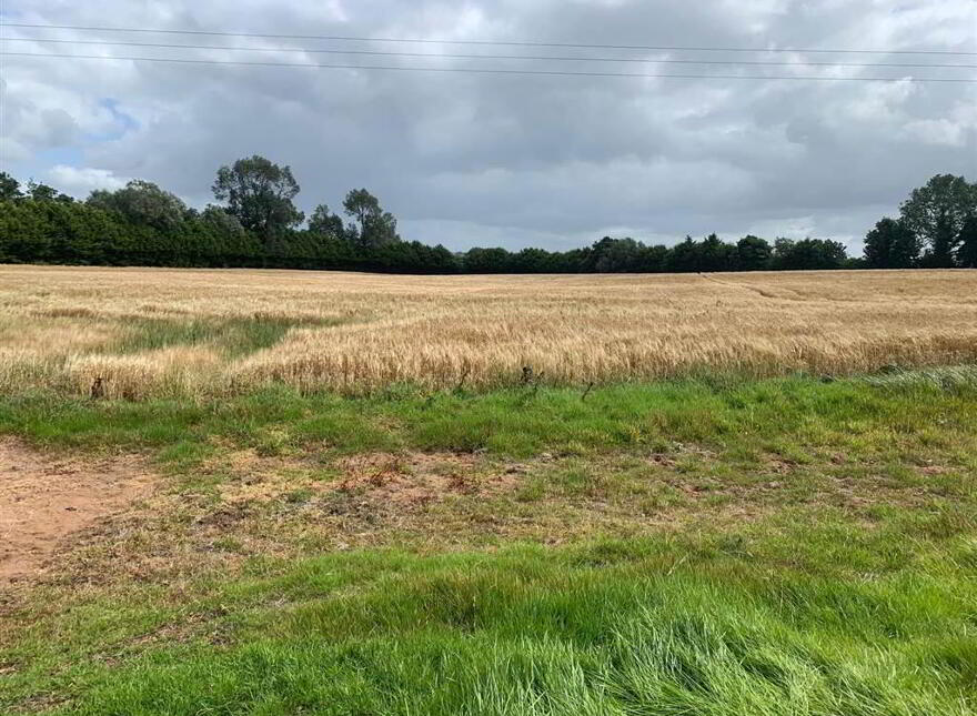 Approx 23 Acres Of Land, Along With Mobile Home, & Two Large Outbuildi...Lisburn