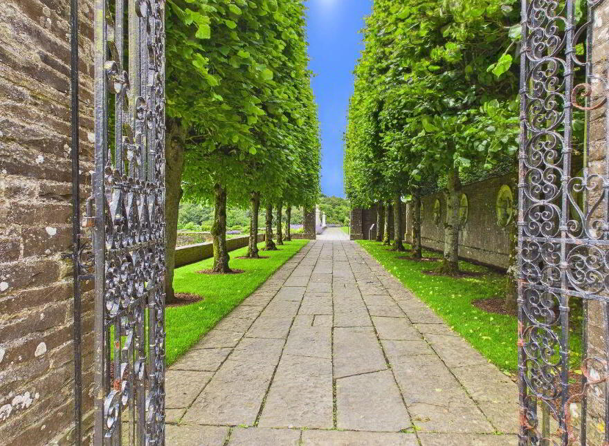 Saint Martins, Chapel Street, Ballinakill