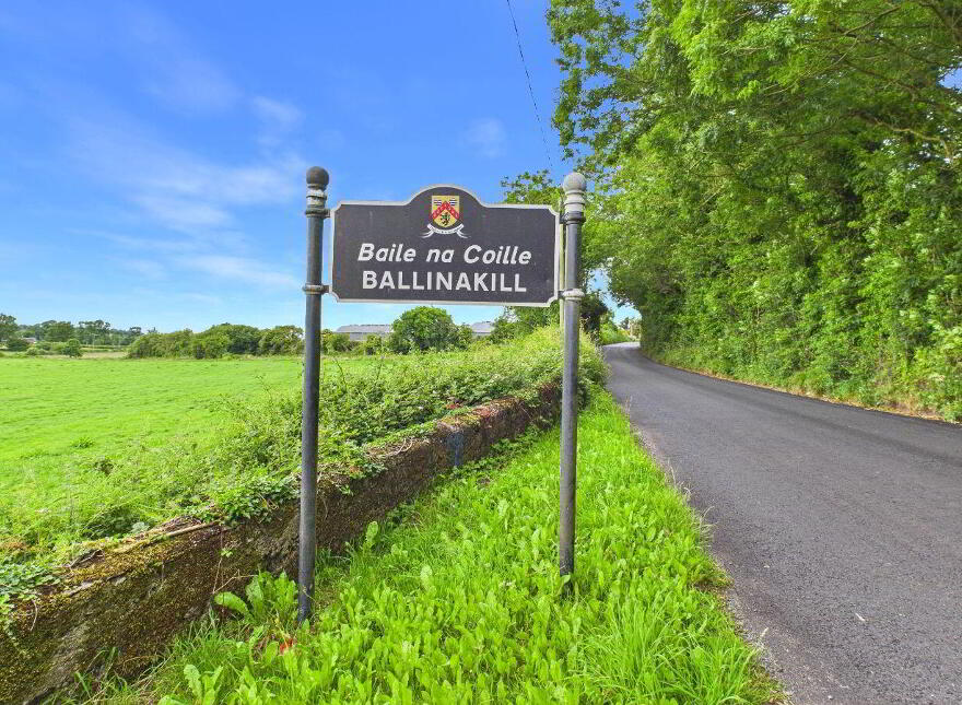 Saint Martins, Chapel Street, Ballinakill