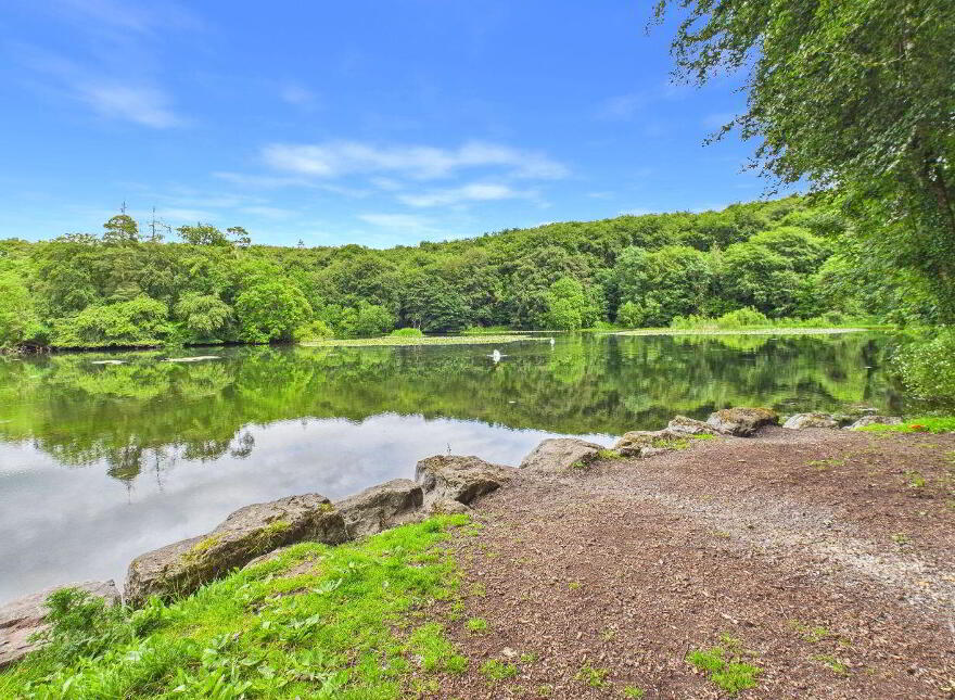 Saint Martins, Chapel Street, Ballinakill