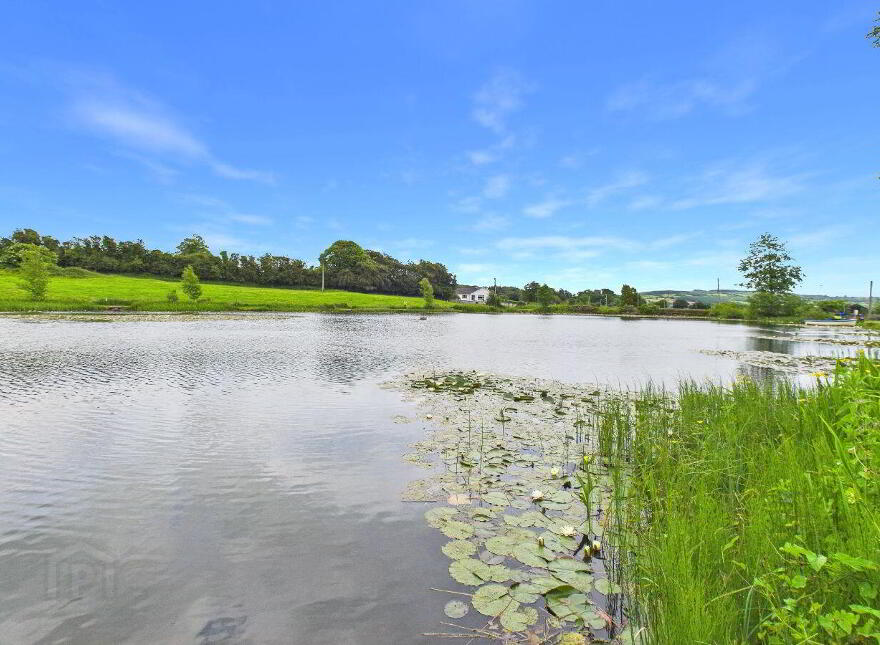Saint Martins, Chapel Street, Ballinakill