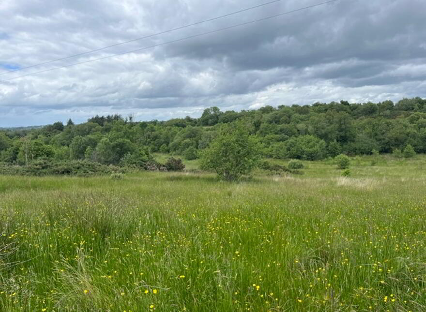 Melvin View Farm, Gurteen Road, Garrison, BT93 4DL