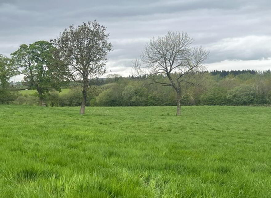 Claggan Lane, Cookstown, BT80 9UR