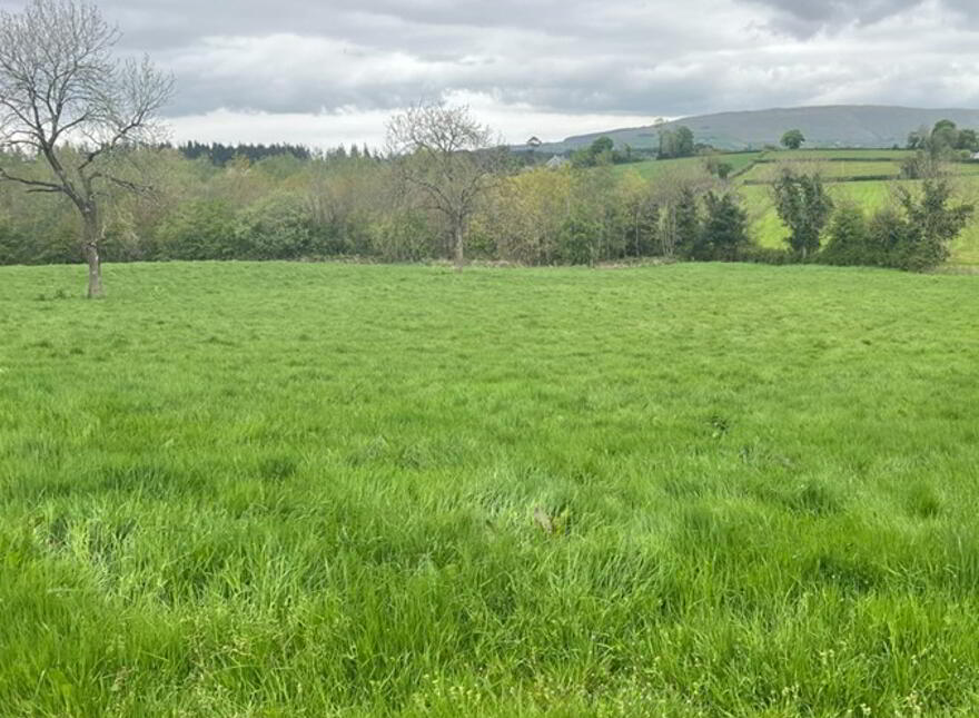 Claggan Lane, Cookstown, BT80 9UR