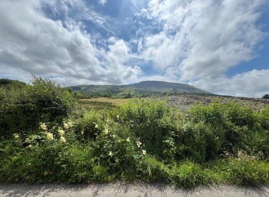 Gorteendarragh, Kinlough, F91T663