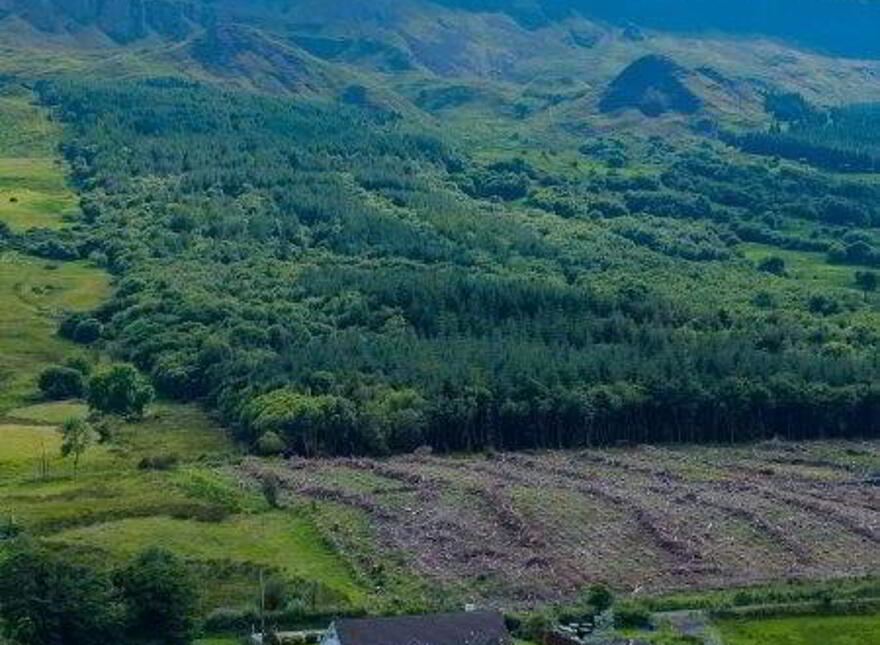 Gorteendarragh, Kinlough, F91T663