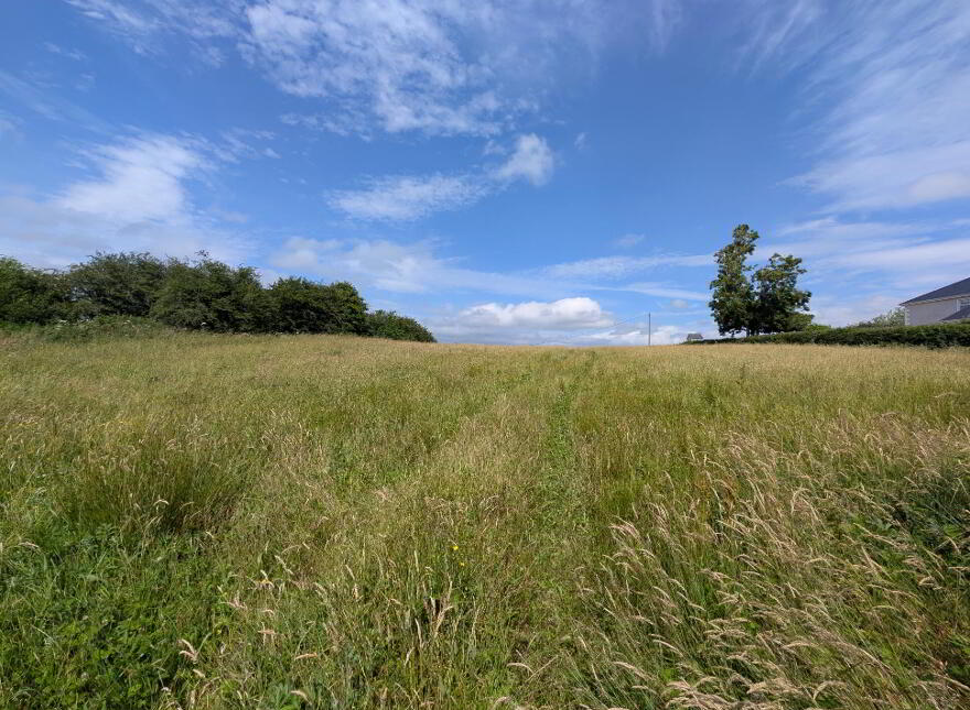 Carrowliamore, Swinford