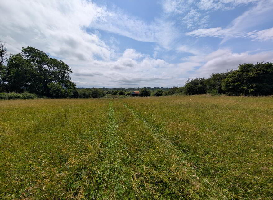 Carrowliamore, Swinford
