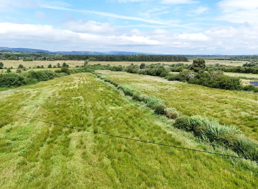 Carrowliamore, Swinford