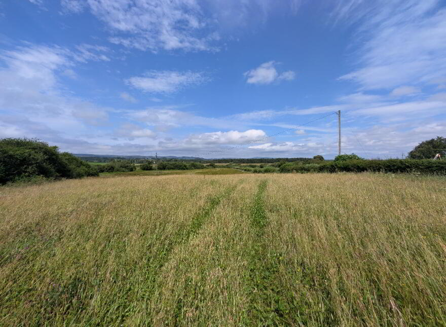 Carrowliamore, Swinford
