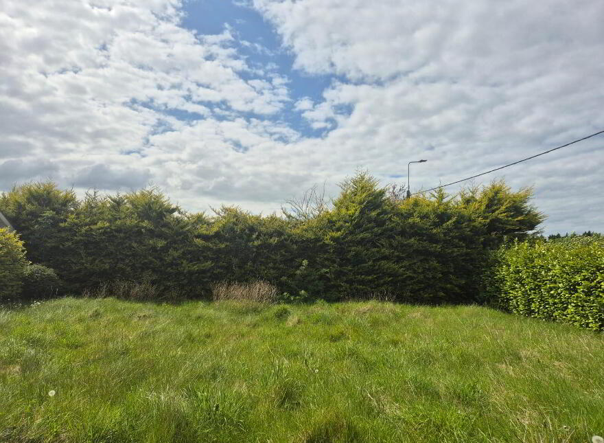 Clounreask, Askeaton, V94K61F
