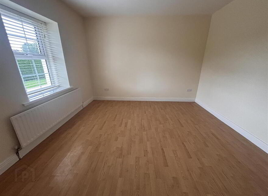 10 Carrive Road, Silverbridge, Newry, BT35 9LJ