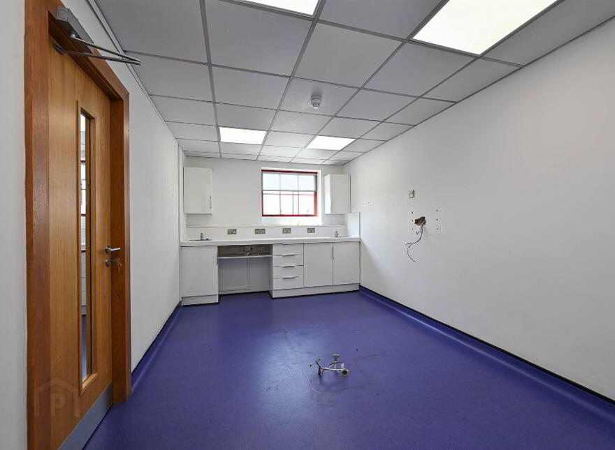 24a St Patricks Avenue, Downpatrick, BT30 6NE