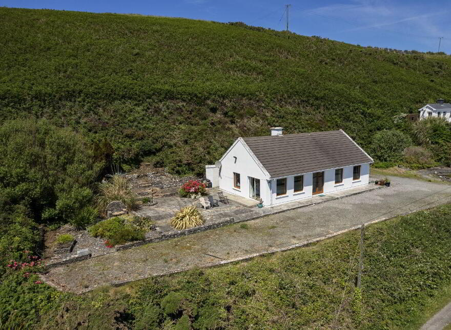 Dundeady, Castlefreke, P85P210