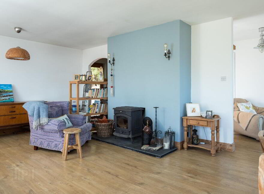 Dundeady, Castlefreke, P85P210