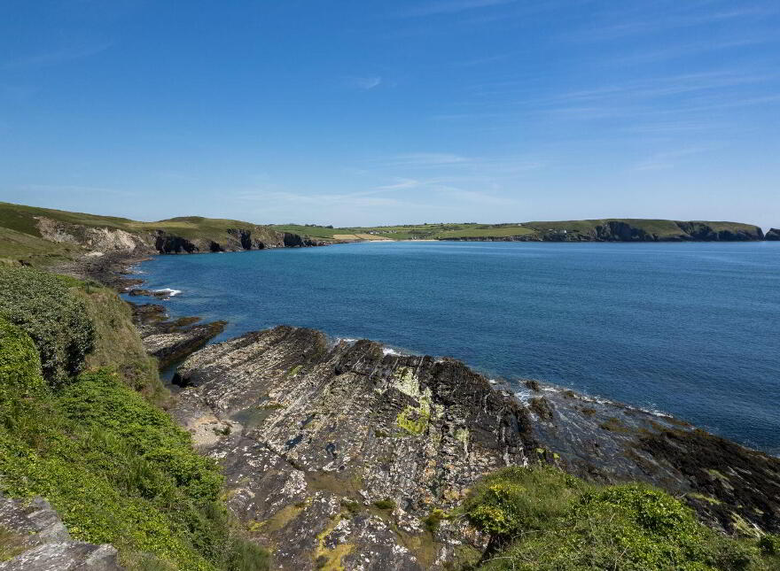 Dundeady, Castlefreke, P85P210
