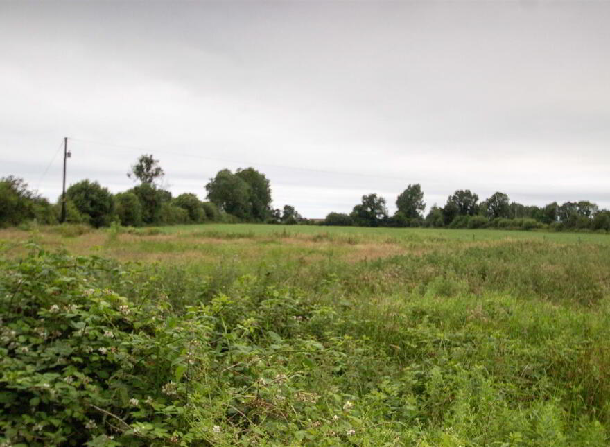 59 - 61 Development Site @ Glenavy Road, Crumlin, BT29 4LA