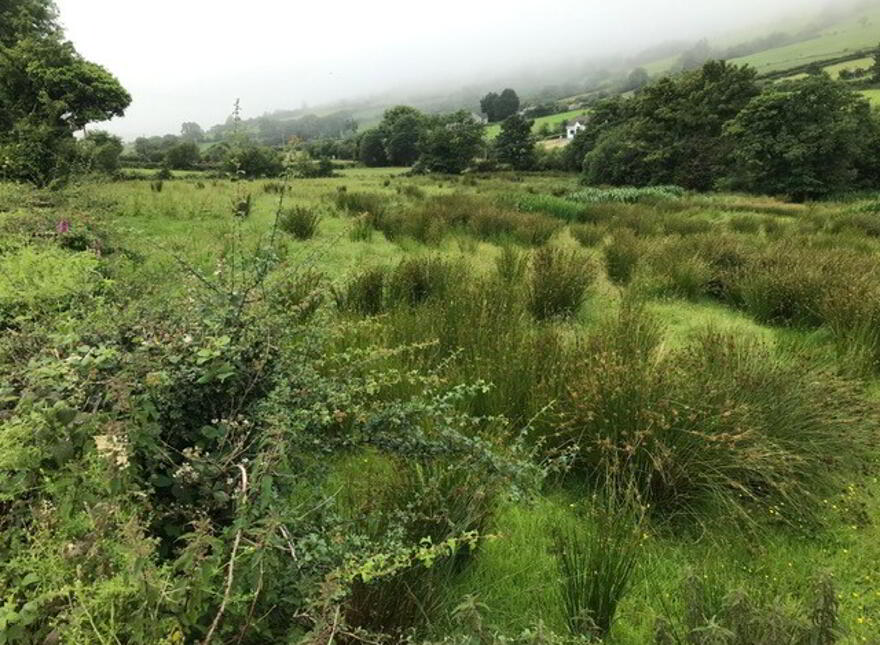 'Laney', Tromra Road, Cushendall, Ballymena, BT44 0ST photo