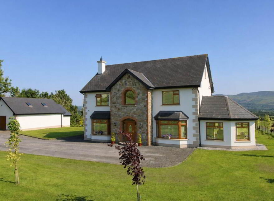 Ballyhisky, Carrigatoher, Nenagh, E45D529