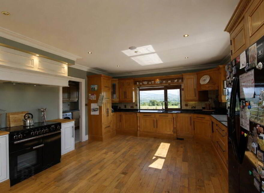 Ballyhisky, Carrigatoher, Nenagh, E45D529