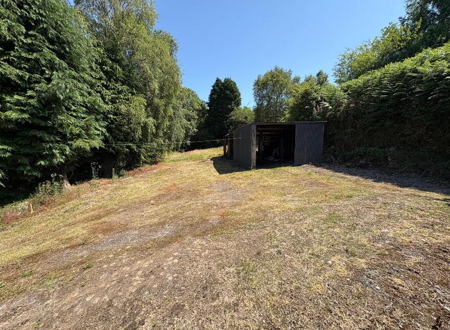 Coolroe More, Banteer, P51E0K6