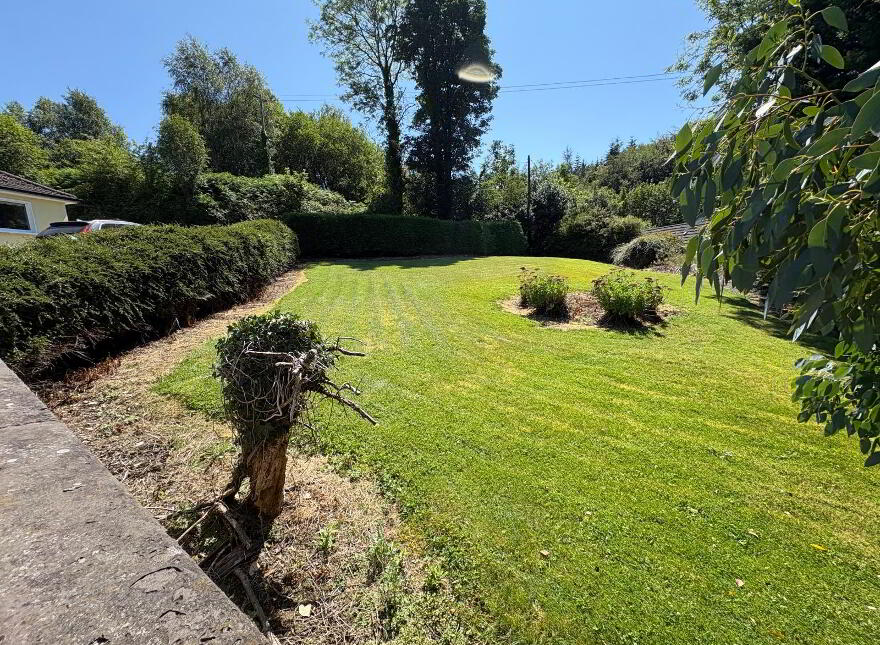 Coolroe More, Banteer, P51E0K6