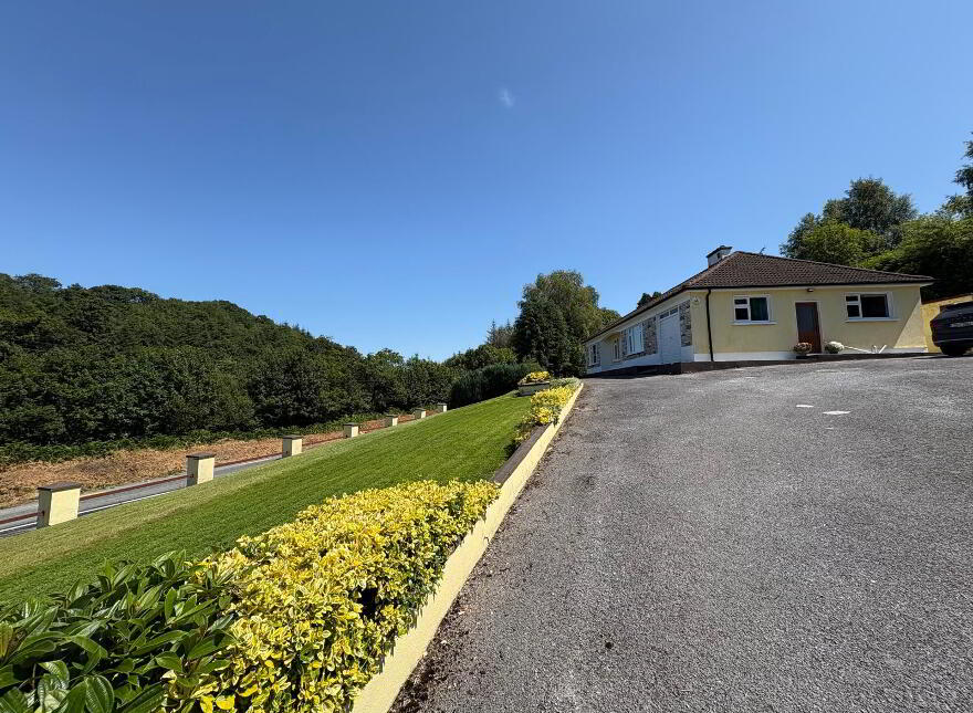 Coolroe More, Banteer, P51E0K6