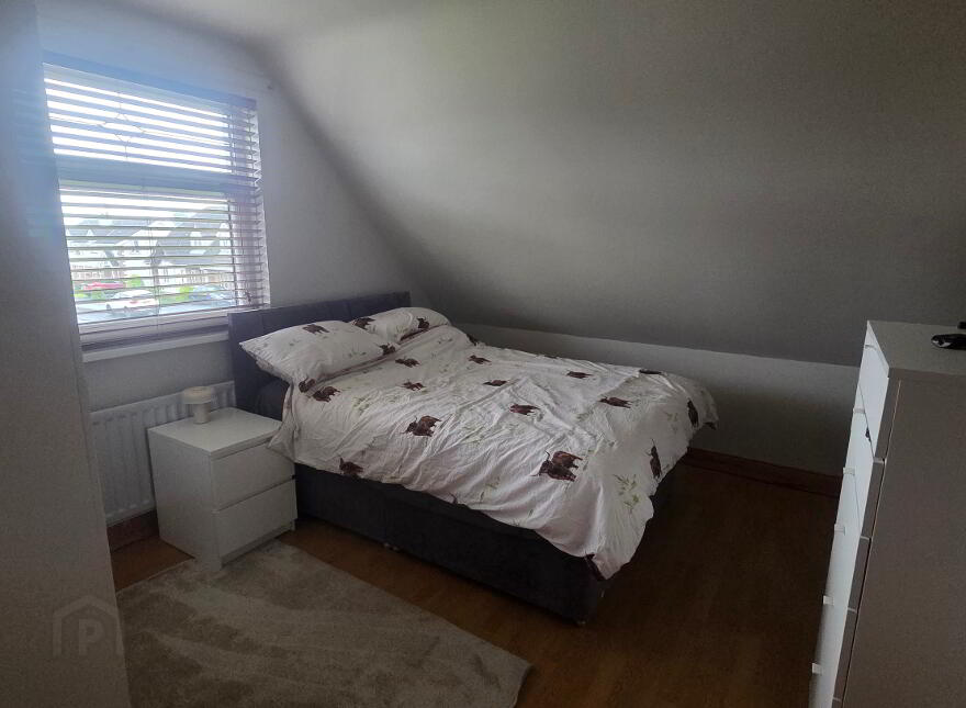 6 Drumvale Road, Bendooragh, BT53 7TD