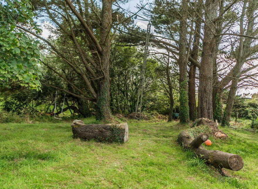 L Nua, Gubbeen, Schull, P81YN81