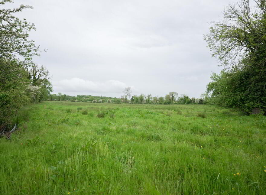 Granaghan(Martin), Scramogue, Strokestown