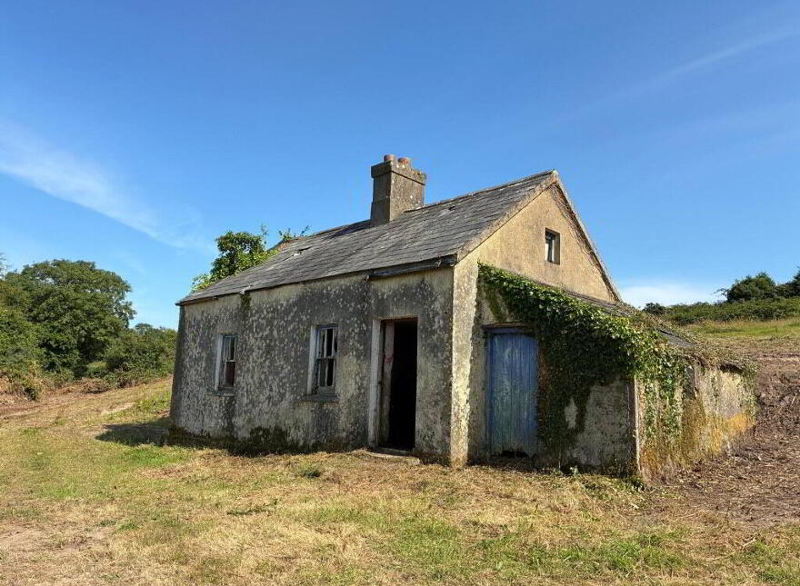 Ballinaspick, Lismore photo