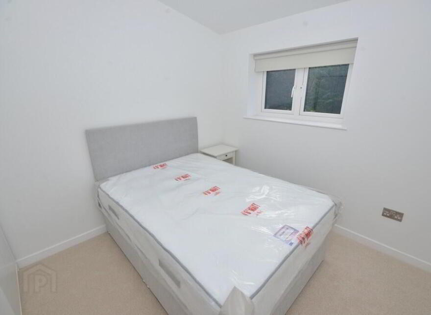 6, 41 Adelaide Park, Belfast, BT9 6FY