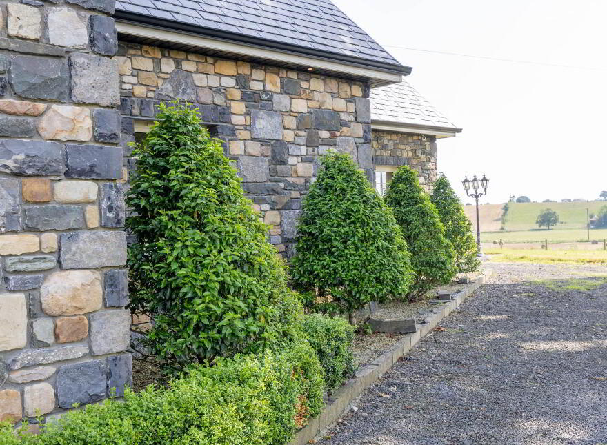 Annagh, Kilcogy, N39A8F5