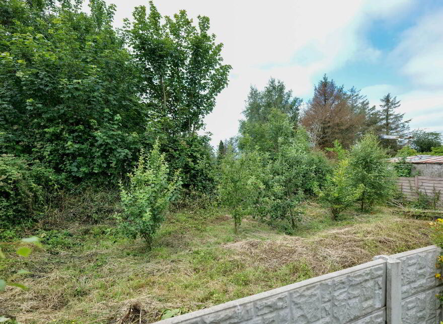 Main Street, Kilmeedy, V42E421