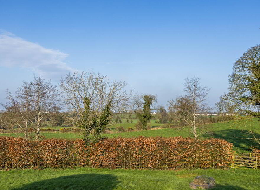 69 Back Road, Drumbo, Lisburn, BT27 5LB