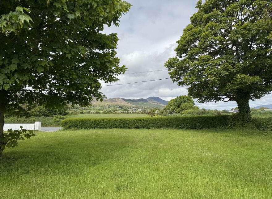 Gaultrimsland, Riverstown, Dundalk, A91XN35