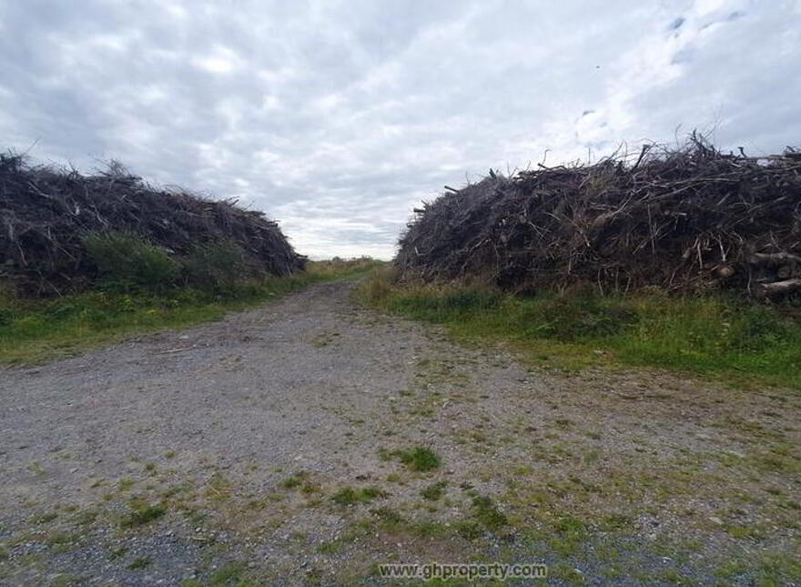 Aghrafinigan, Knockvicar, Boyle