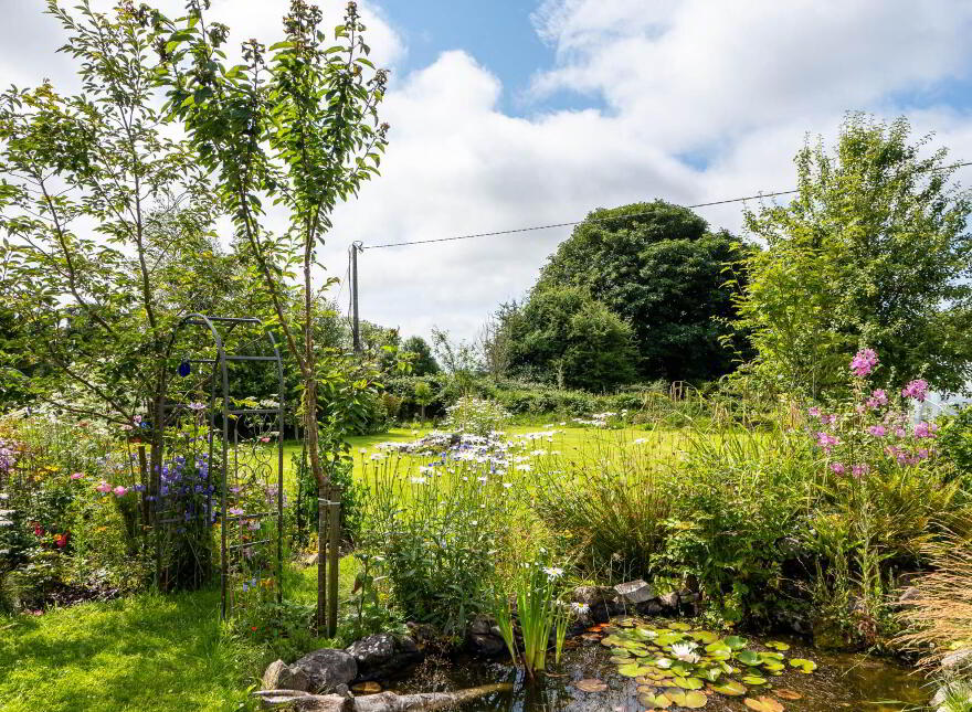 Liskilleen, Ballinrobe, F31TN53