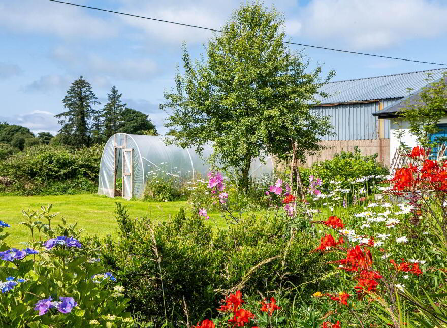 Liskilleen, Ballinrobe, F31TN53