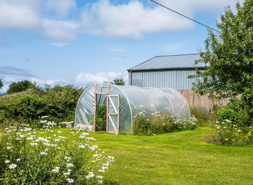 Liskilleen, Ballinrobe, F31TN53
