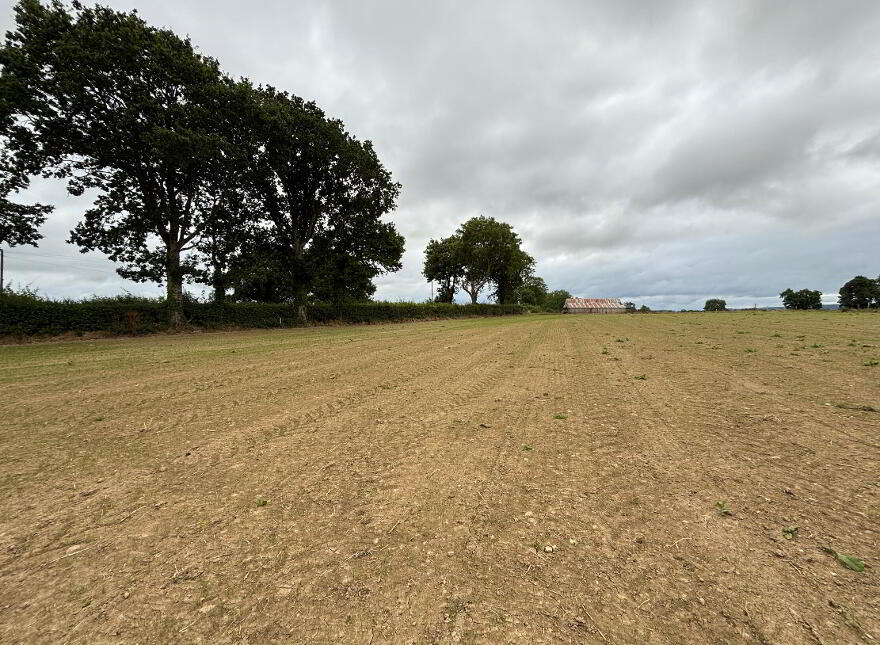 Courtnabooly, West , Callan