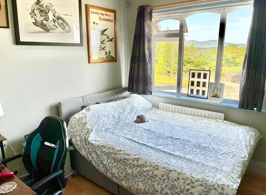 Curraghanav, Ballyduff, P51D960