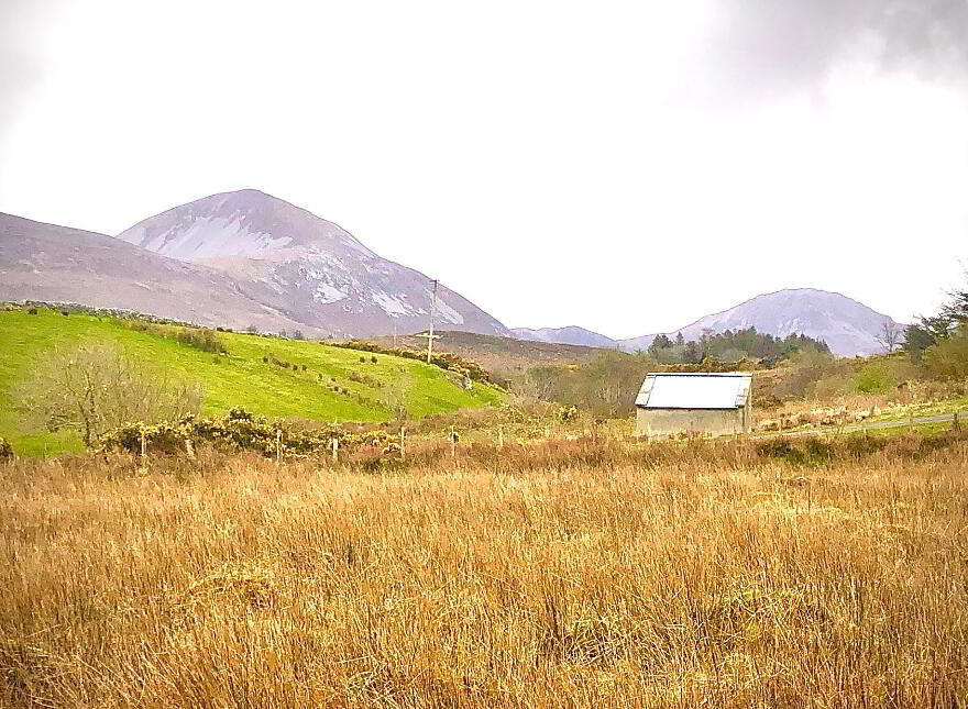 Land For Sale, Meenderry, Falcarragh, N/A