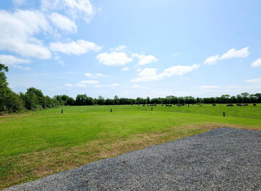 Mountblakeney, Kilmallock, V35N299