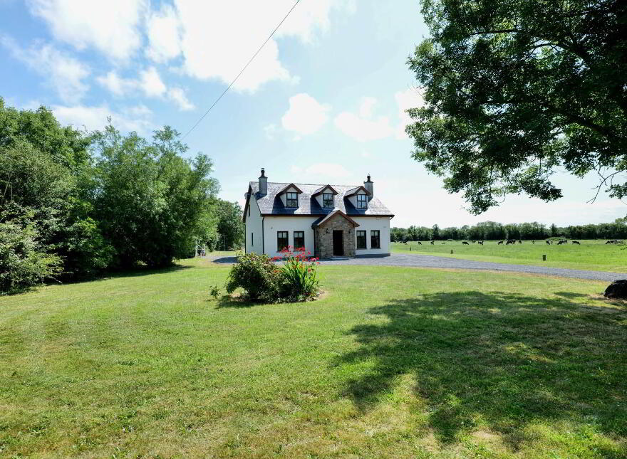 Mountblakeney, Kilmallock, V35N299