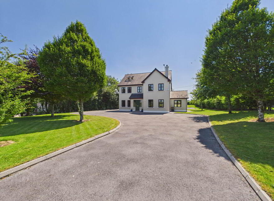Tyrone, Kilcolgan, H91DCX4 photo
