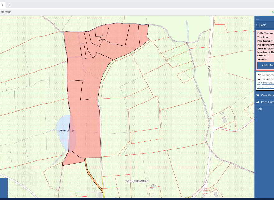 Circa 16.7 Acres, Drumerdannan