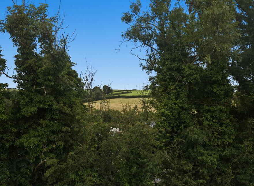 Site 1, 41 Moss Road, Ballynahinch, BT24 8EG